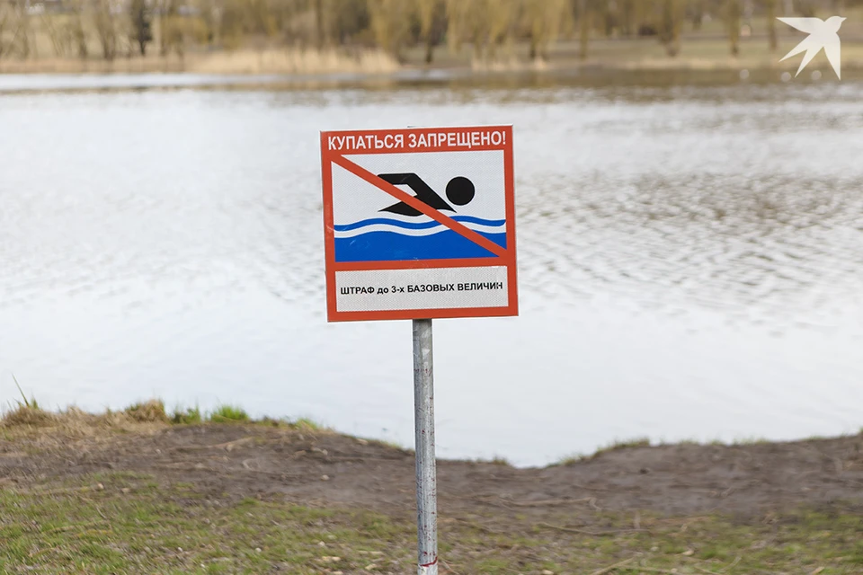 Прохожие спасли девочку-первоклашку, упавшую в воду в парке Сморгони. Фото носит иллюстративный характер.