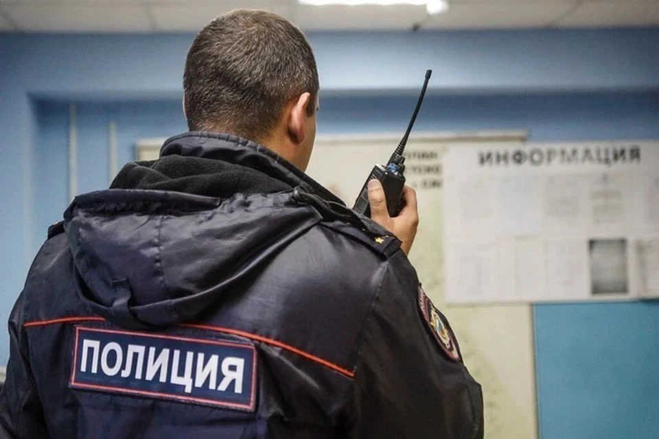 В Запорожской области стражи порядка задержали подозреваемого в поджоге