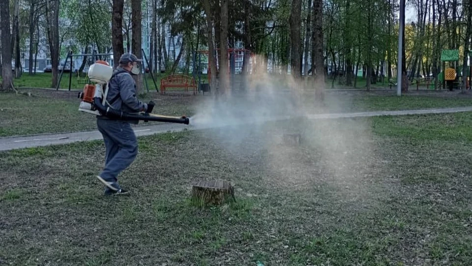В Калуге 20 городских скверов и парков обработают от клещей.