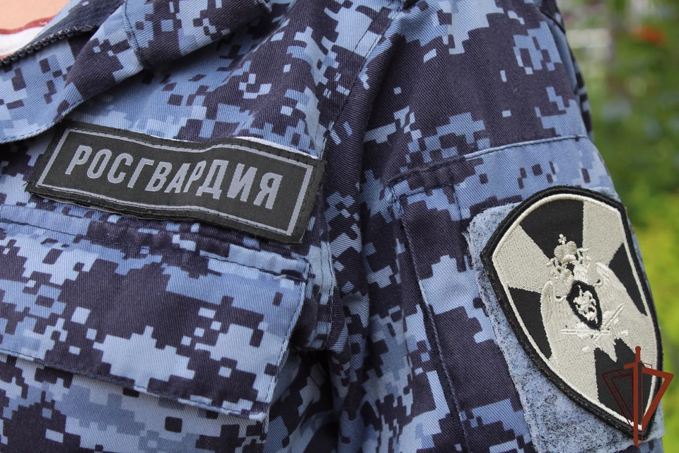 Тульские росгвардейцы за неделю пресекли около 40 административных правонарушений