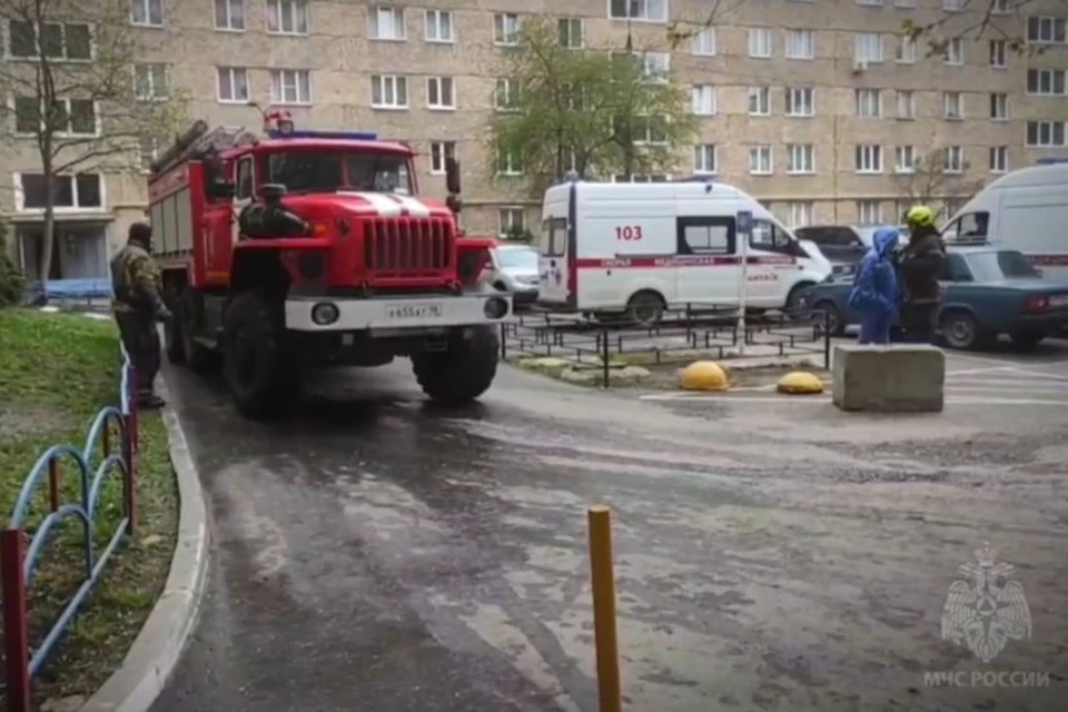 Площадь возгорания составила около 4 кв.м. Фото: МЧС Удмуртии