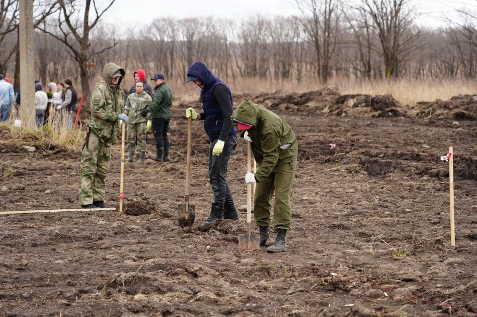 Волонтеры высадили 26 тысяч саженцев. Фото: пресс-служба Минприроды Приморского края.