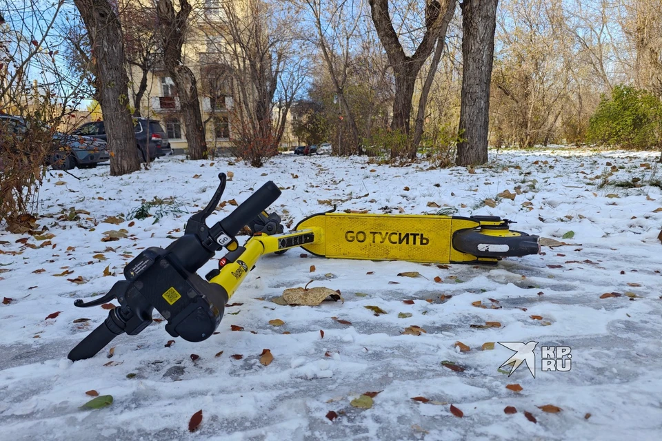 Рычаг воздействия на кикшеринговые компании поспособствует порядку в городе