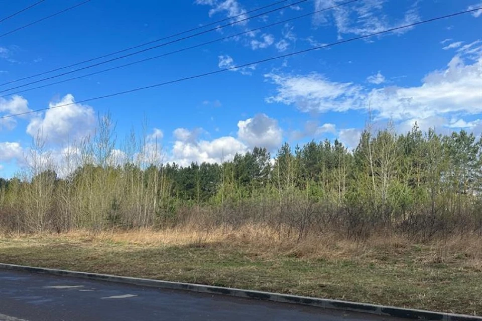 В Красноярске продолжается голосование за территории, которые благоустроят в 2026 году. Фото: мэрия