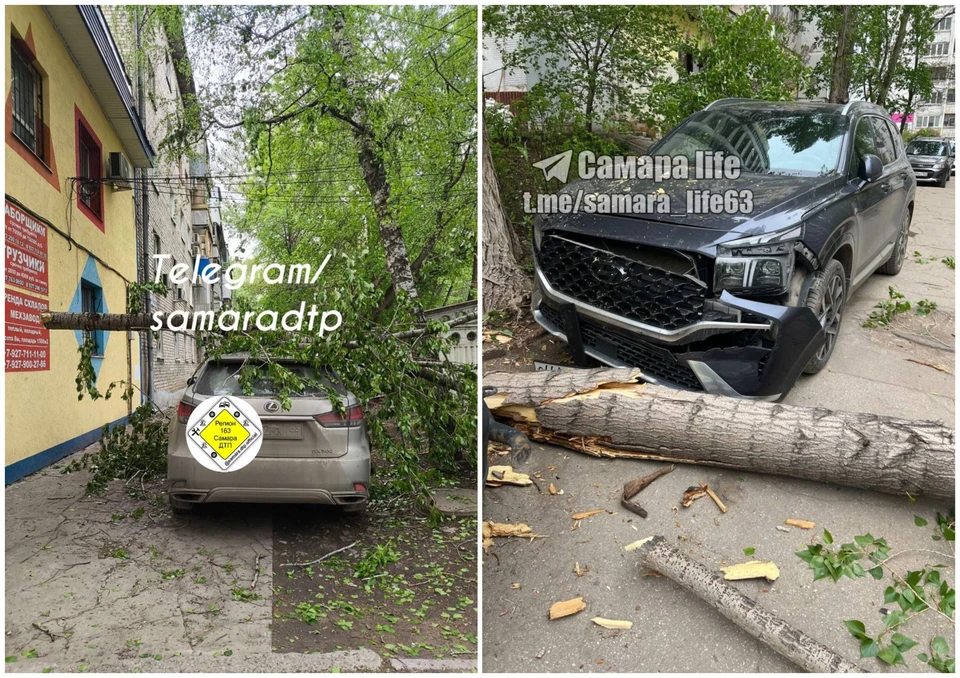 Синоптики прогнозировали ветер больше 15-20 м/с. Фото: тг-каналы «СамараДТП» / «Самара life»
