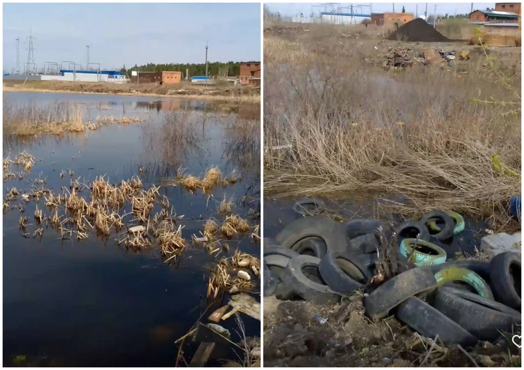 «Все берега в мусоре»: челябинец нашел свалку отходов на водоеме с краснокнижными птицами