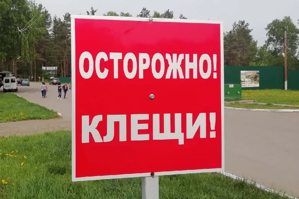 В регионе продолжается обработка территорий от клещей