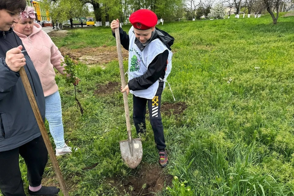 Жители Мангуша стали участниками патриотической акции «Сад памяти». Фото: t.me/Mangush_mo