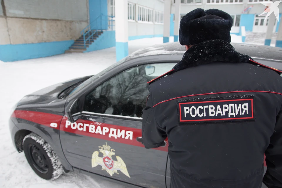33-летний жителя Никеля применил насилие в отношении росгвардейца.