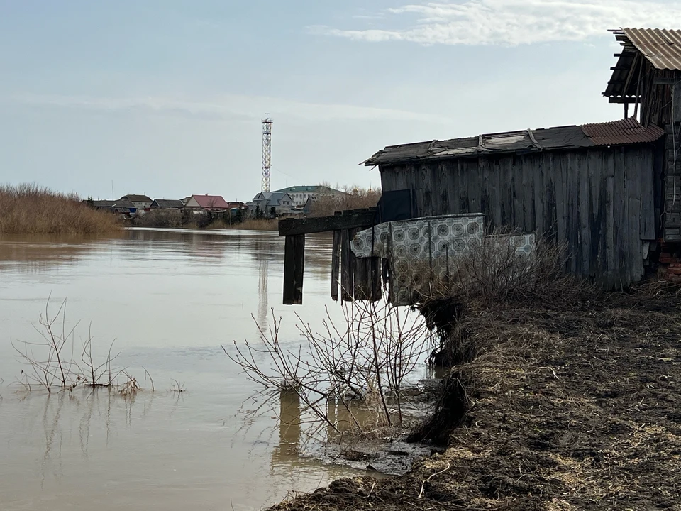 Фото предоставлено КП