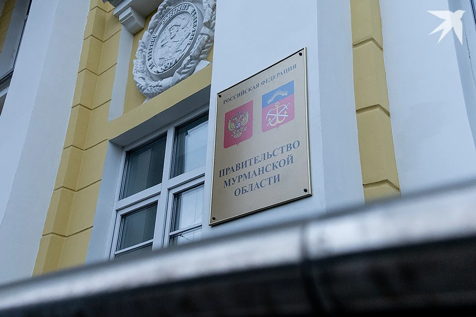 Молодежное правительство будет консультативным органом.