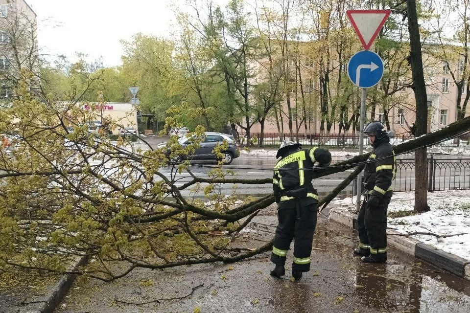 Для ликвидации последствий непогоды привлекли около 1200 человек и более 400 единиц техники