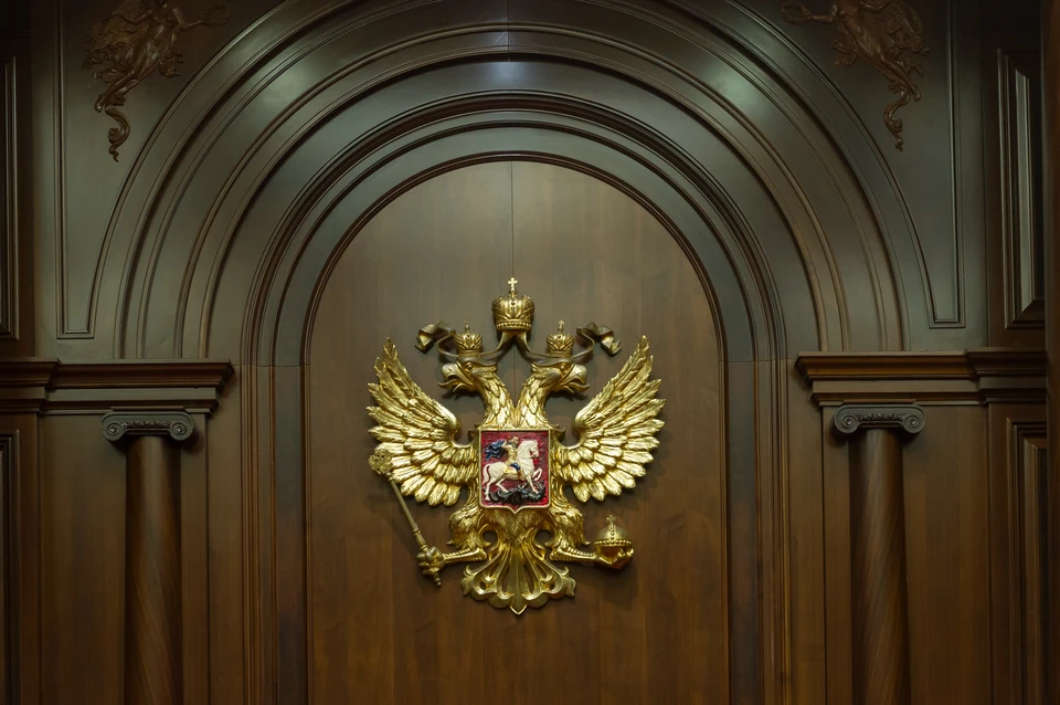Суд взял подозреваемую под стражу