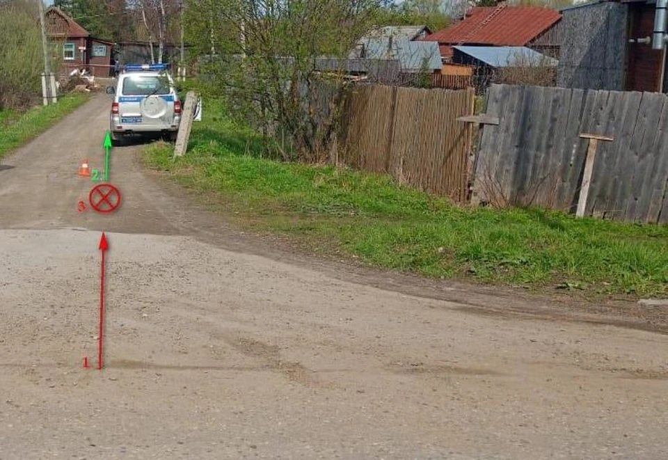 Фото: Костромская Госавтоинспекция