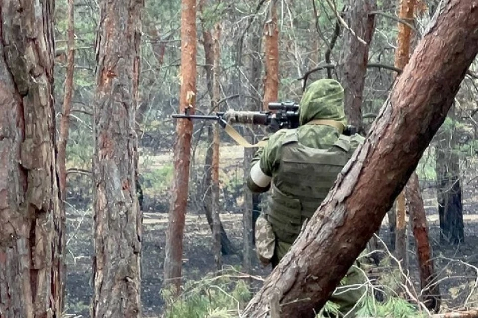 Российские войска улучшили свои позиции в ДНР (архивное фото)