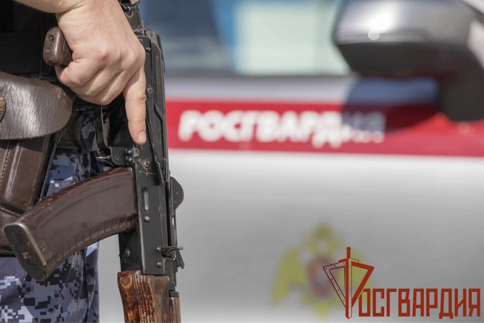 Более 30 административных правонарушений пресекли тульские росгвардейцы за неделю