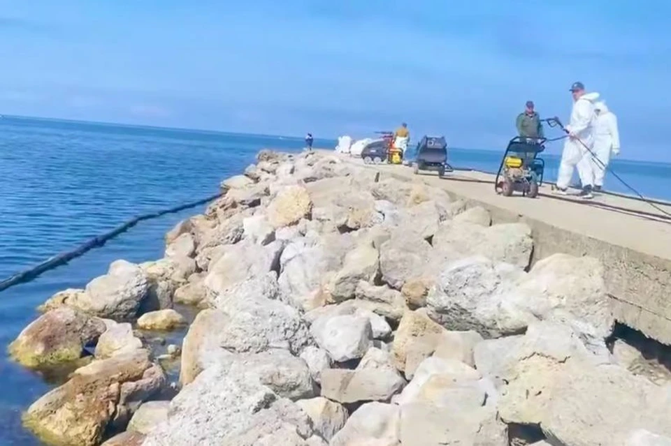 Фото: скриншот видео оперштаба Кубани