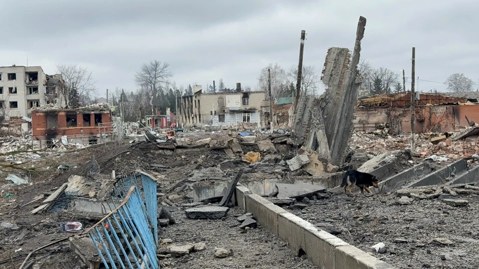 В зоне СВО погибли рядовой и сержант из Кировской области