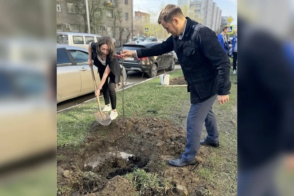 На аллее высадили 27 яблонь. Фото: Виктория ПЕРЯЗЕВА