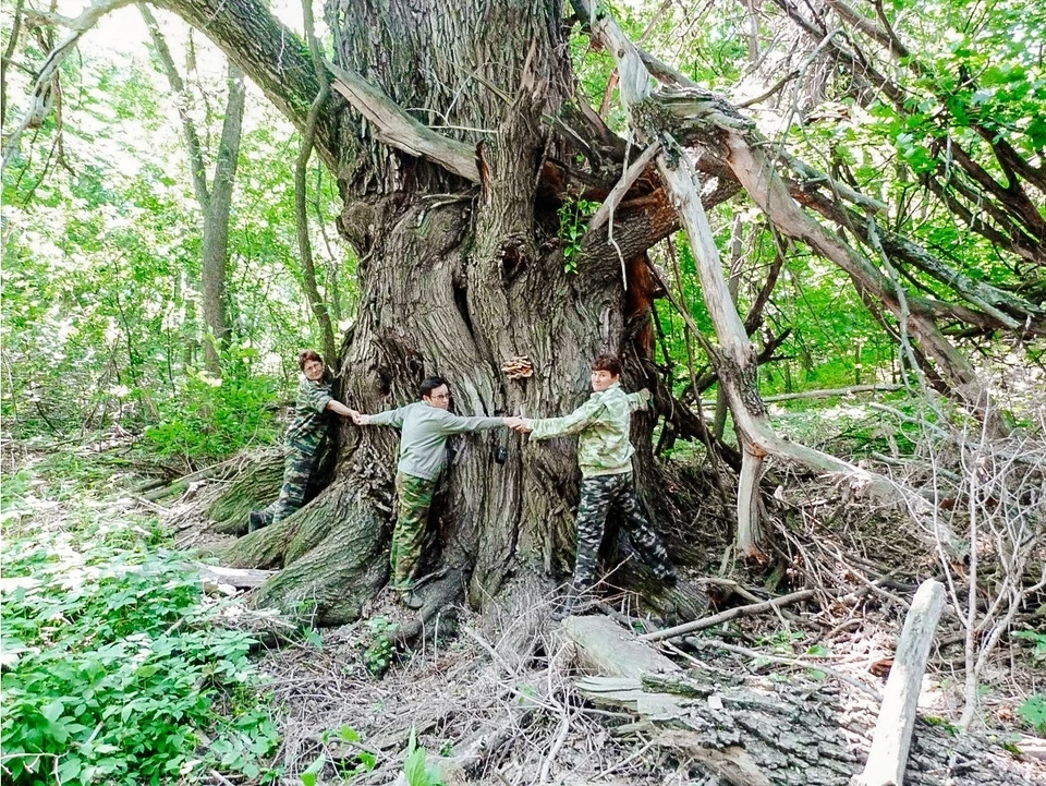 Голосование проходит до 1 августа. Фото: https://vk.com/npsamluka