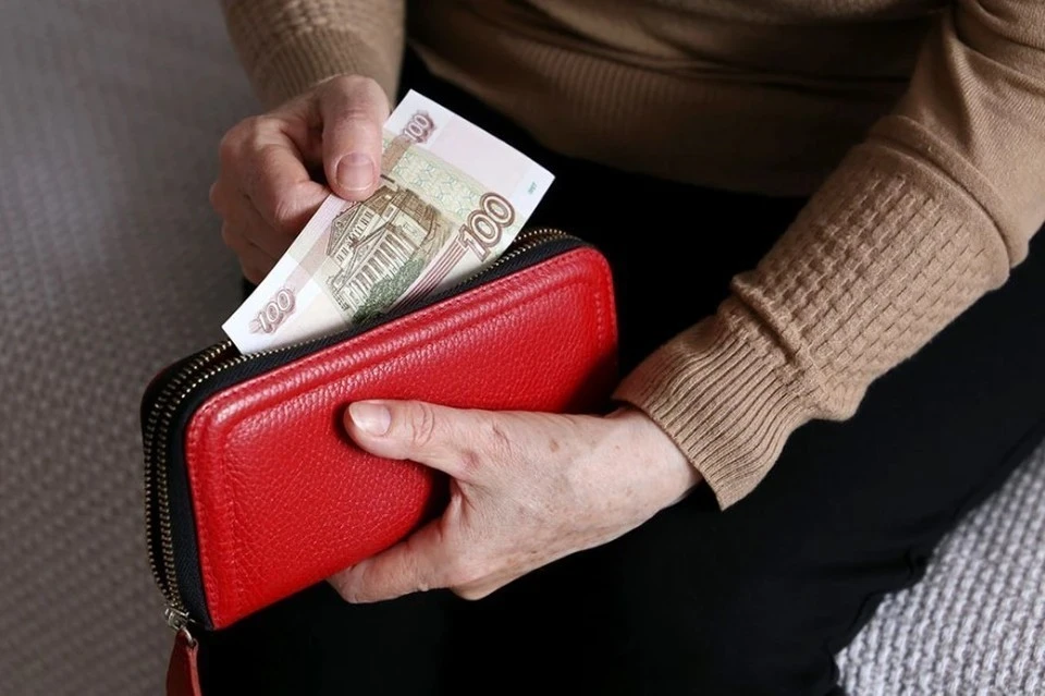 Депутат Гаврилов: в 2026 году лучше не ждать серьезного увеличения пенсий