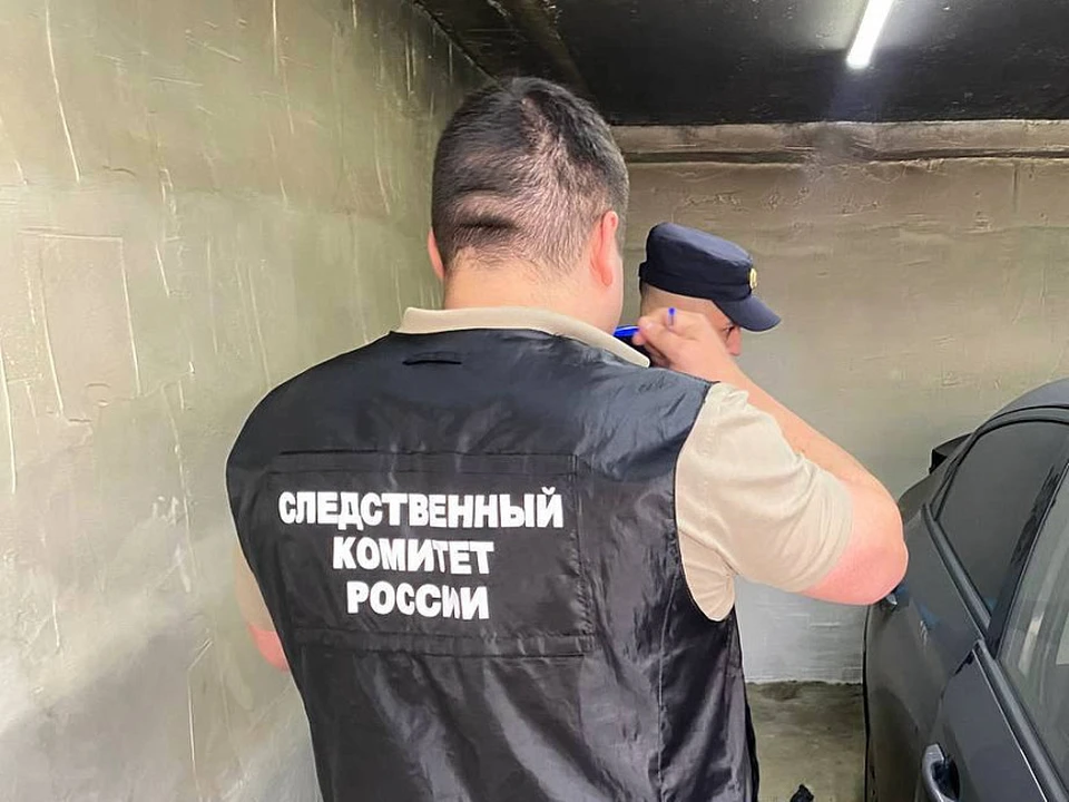 Первоначально следователи не нашли явных признаков насильственной смерти у детей, однако позже ситуация резко изменилась.