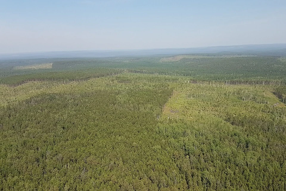 В Хабаровском крае усилили патрули лесов из-за начала пожароопасного сезона