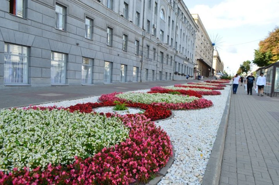 Мэрия отчиталась о работах по озеленению центра города
