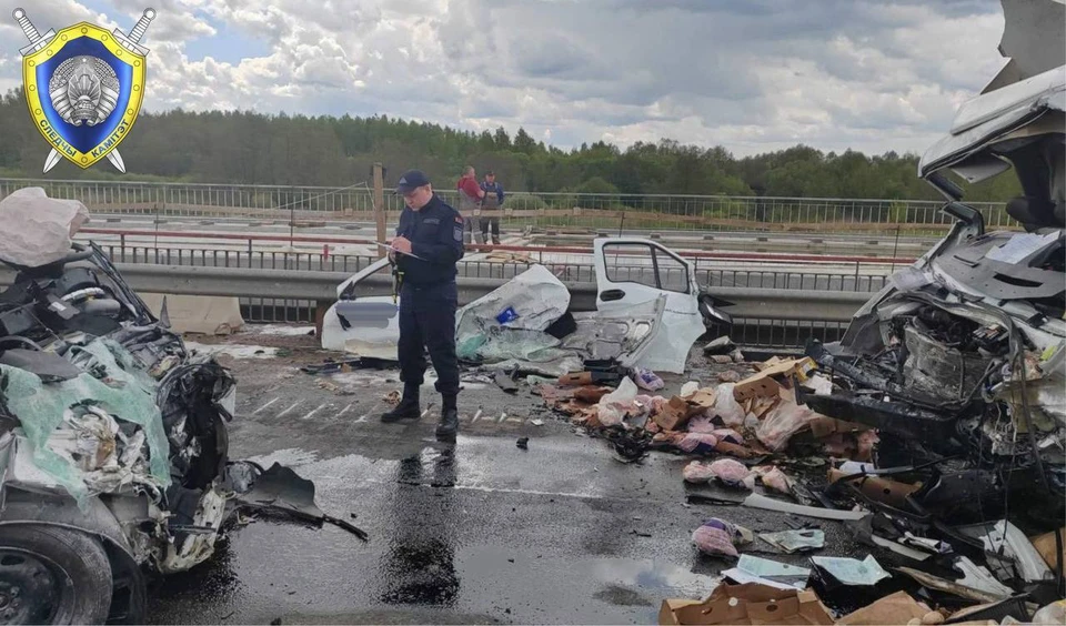 Уголовное дело возбуждено после смертельного ДТП на мосту в Чаусском районе. Фото: Следственный комитет Беларуси