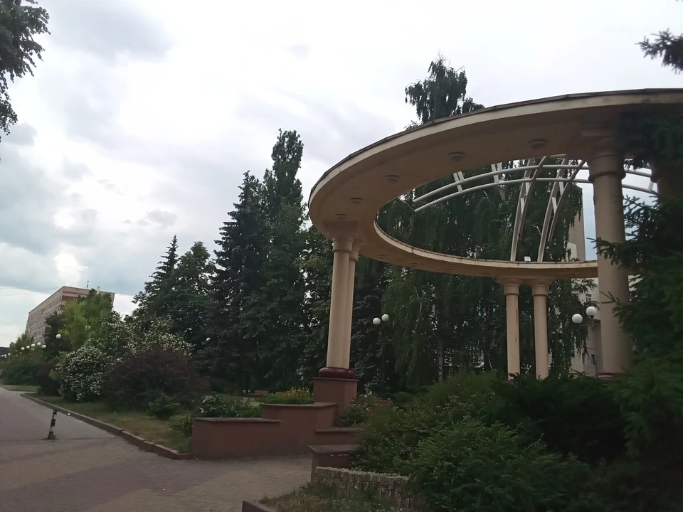 В мэрии рассказали, что убирают парки и скверы