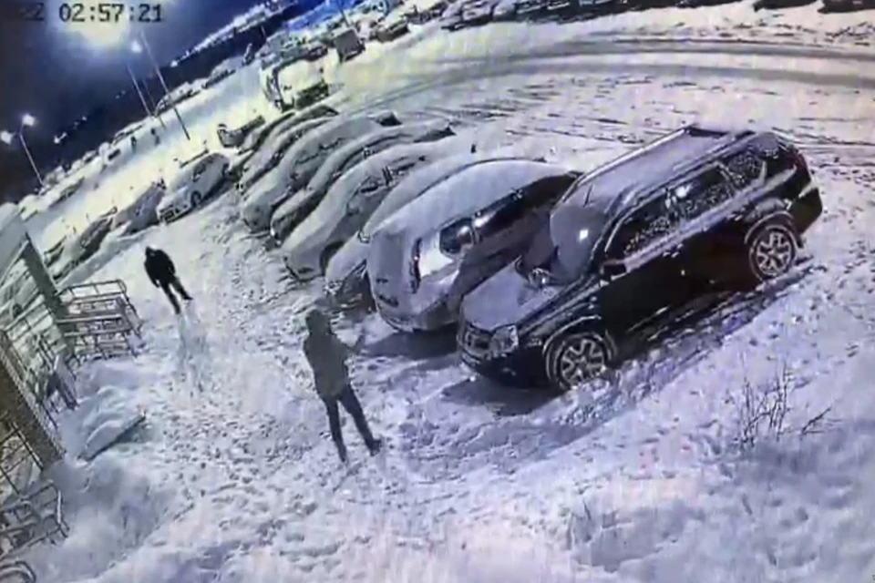 Скриншот видео с камеры наблюдения