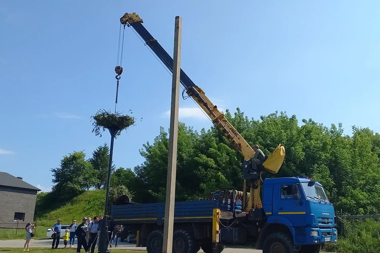Студенты московского вуза проведут картографию Тропы белого аиста