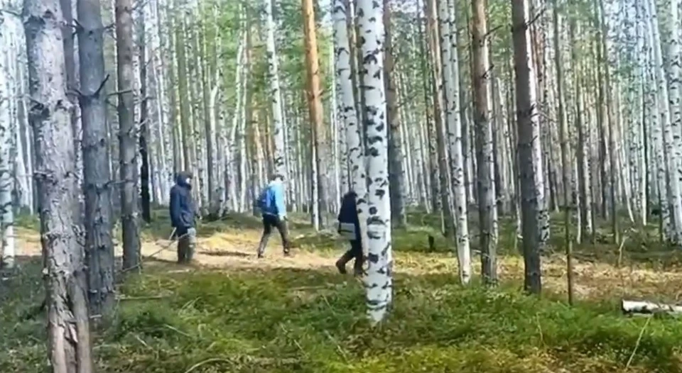 Скриншот из видео