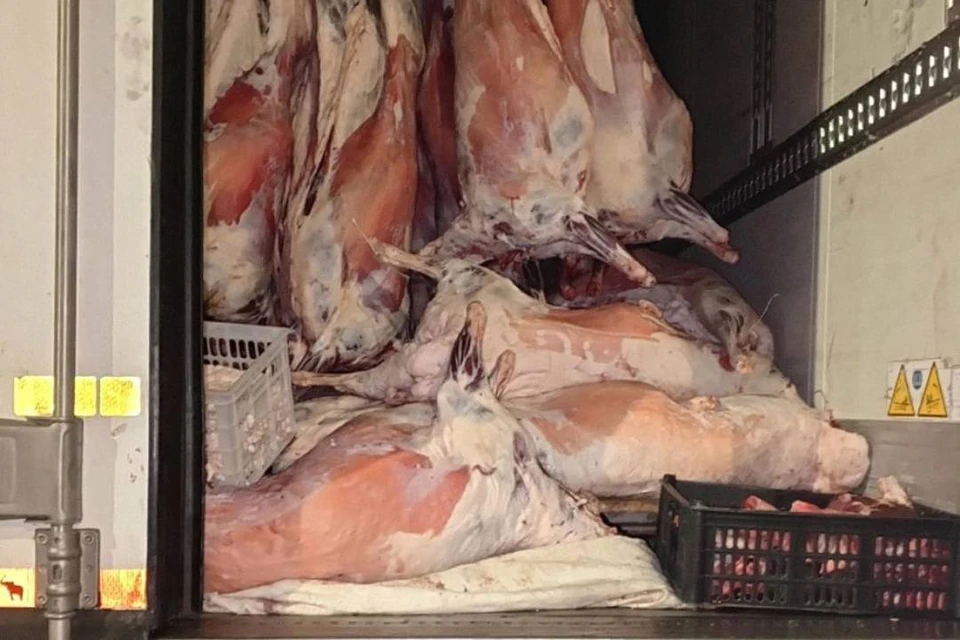 Сотрудники ведомства устанавливают собственника продукции, отправителя и получателя нелегального груза. Фото: Управление Россельхознадзора по Иркутской области и Республике Бурятия