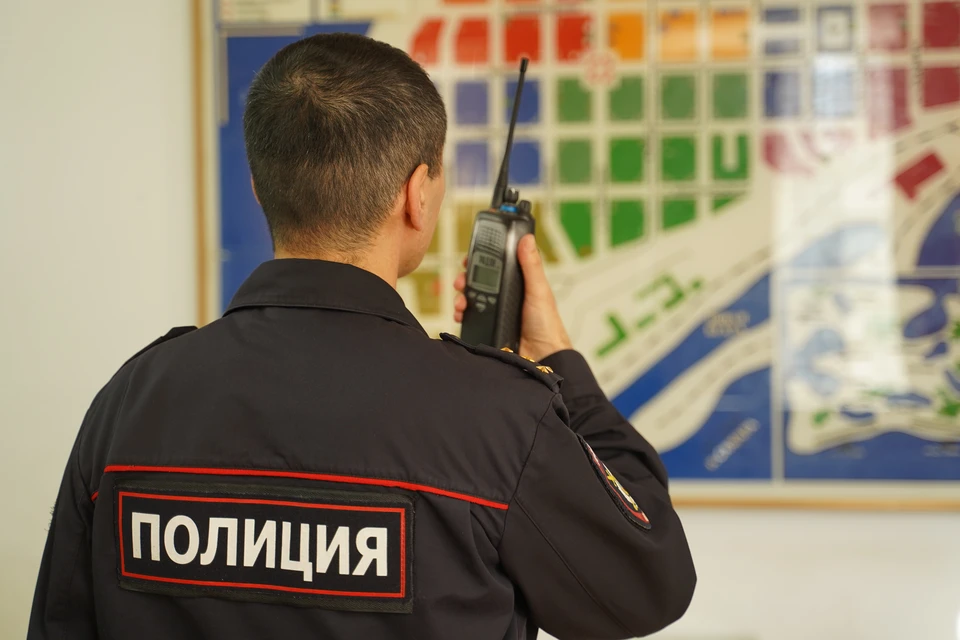 Полицейские разыскивают мошенников, выманивших в двух дончанок больше шести миллионов рублей.