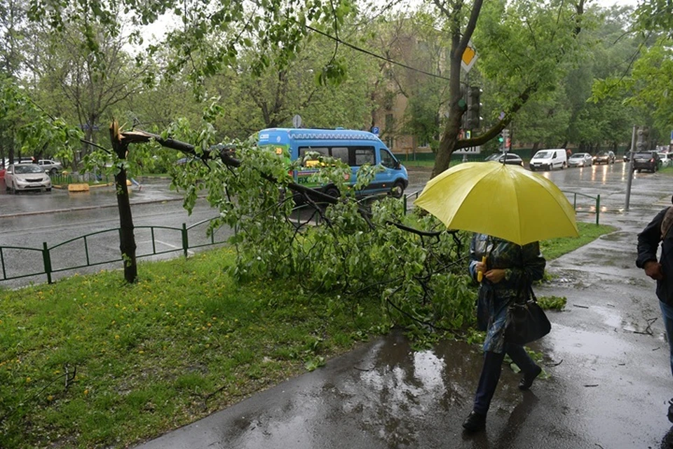 Температура воздуха составит не выше +16 градусов