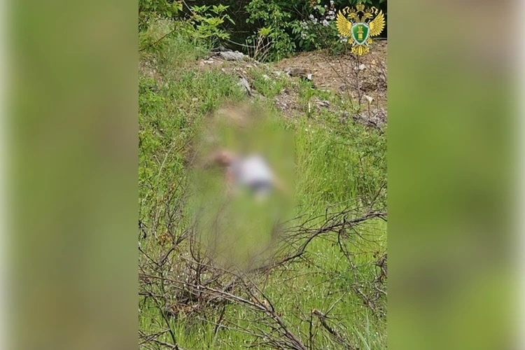 14-летняя девочка забила молотком семилетнего ребенка: А потом призналась и в других убийствах