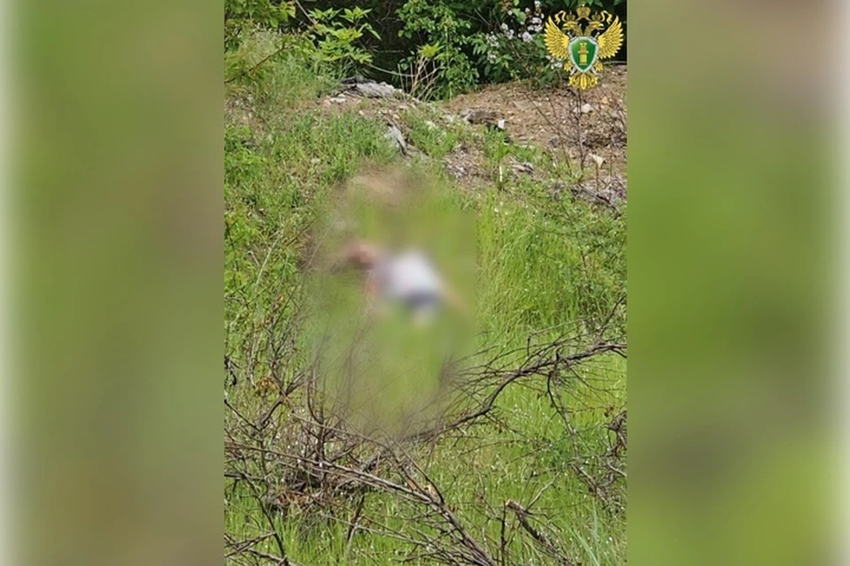 Семилетнюю девочку забили молотком в лесопосадке в Бердянске. Фото: прокуратура Запорожской области