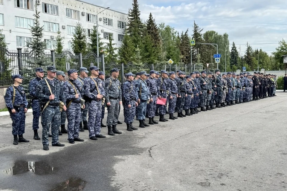 Фото: Пресс-служба регионального УМВД