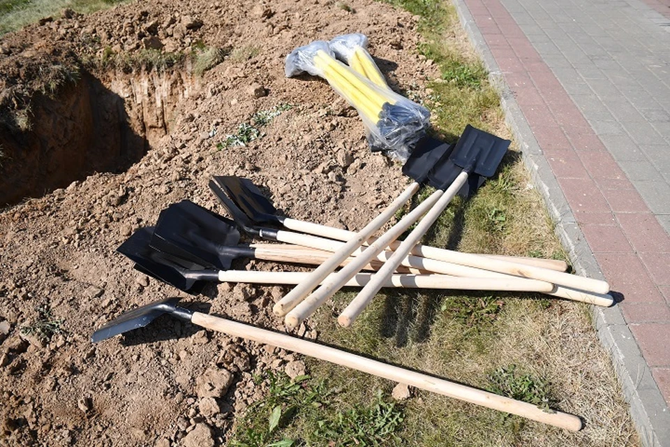 Семьи из Хабаровска высадили деревья в парке «Динамо»
