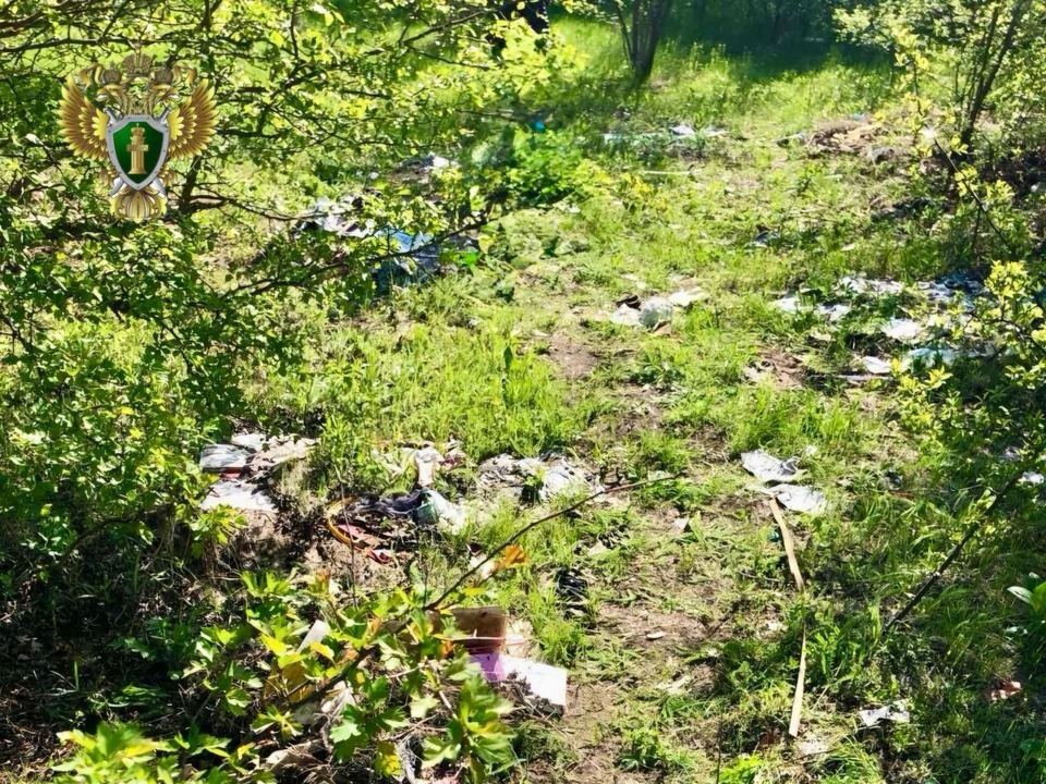 Свалку убрали с территории памятника природы. Фото: прокуратура Ставрополья