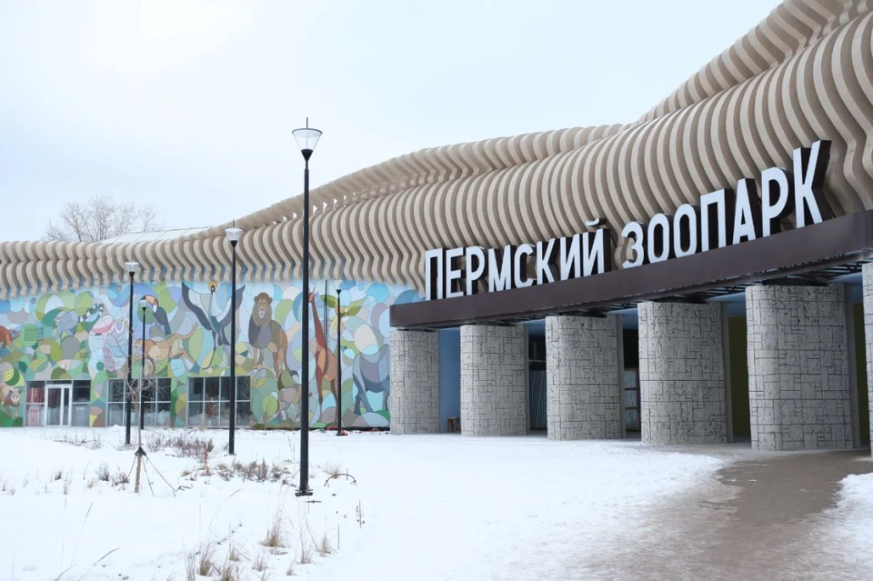 Фото: пресс-служба краевого Правительства
