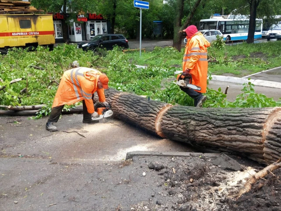 Большинство упавших деревьев и веток уже убрали. Фото: https://t.me/ivan_noskov_samara
