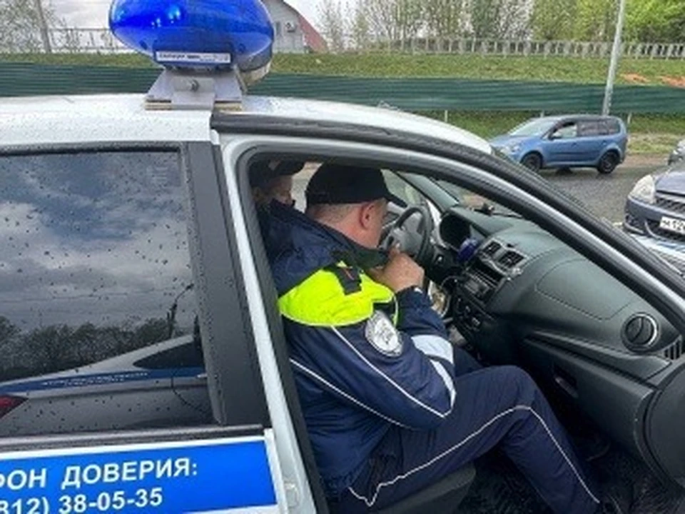 Фото: УМВД России по Смоленской области