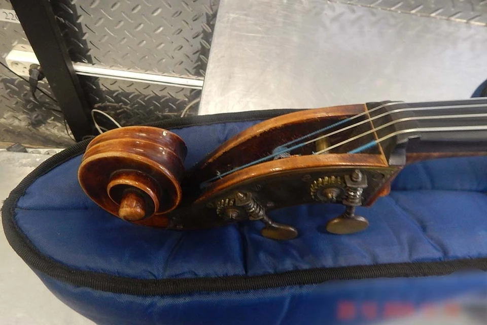 Путешественнику выписали административный протокол. Фото: СЗТУ