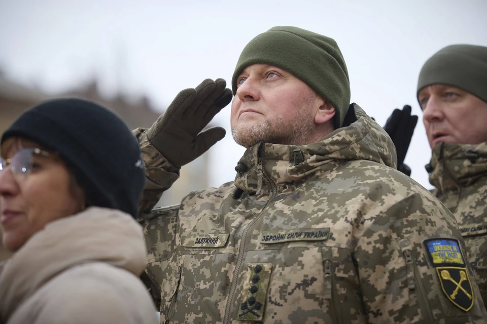 Сенатор Ковитиди назвала слова Залужного о границах Украины прорывом для Киева