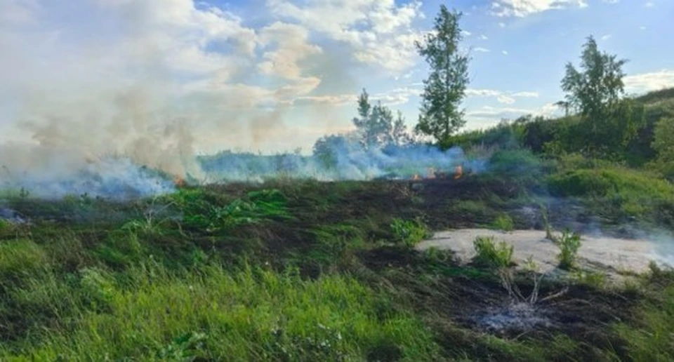 Фото: Госкомитет по ЧС