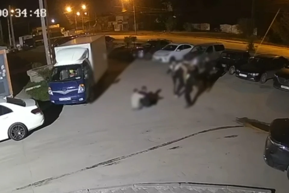 В Новосибирске четверо хулиганов избили 44-летнего прохожего. Фото: ГУ МВД по НСО