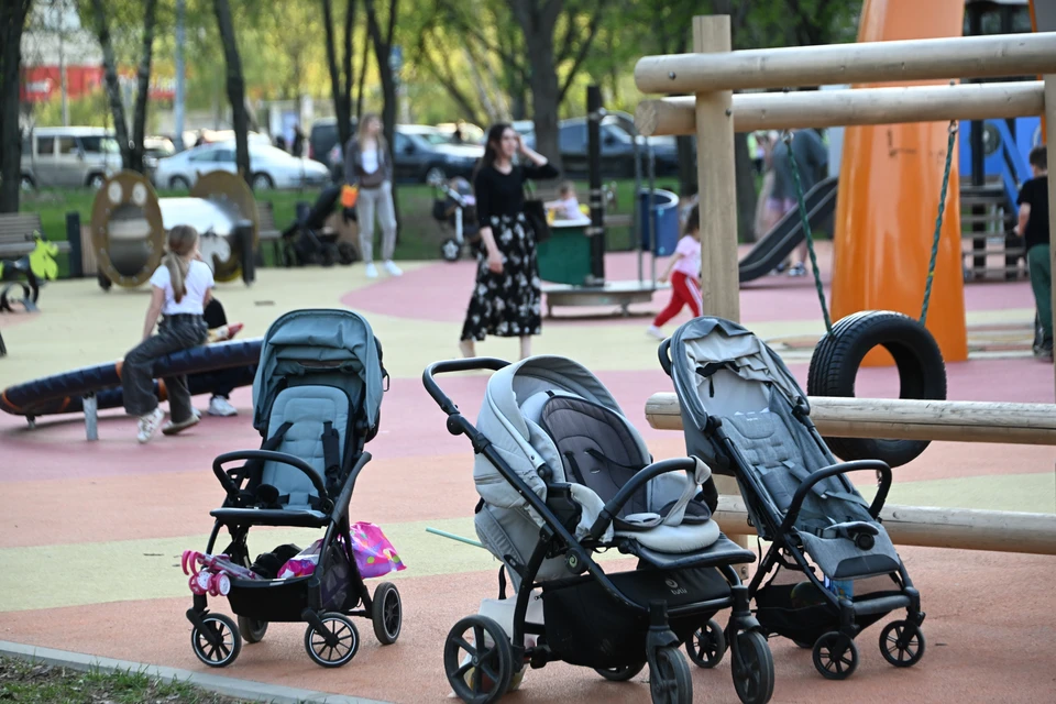 Остаток денег после расходов у донских семей составлял от 18,6 до 35 тысяч рублей в месяц