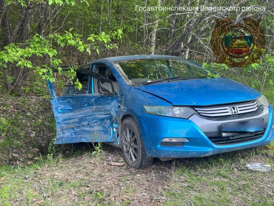 Нетрезвый водитель спровоцировал ДТП с пострадавшим ребенком в Вяземском районе Фото: ГАИ Вяземского района